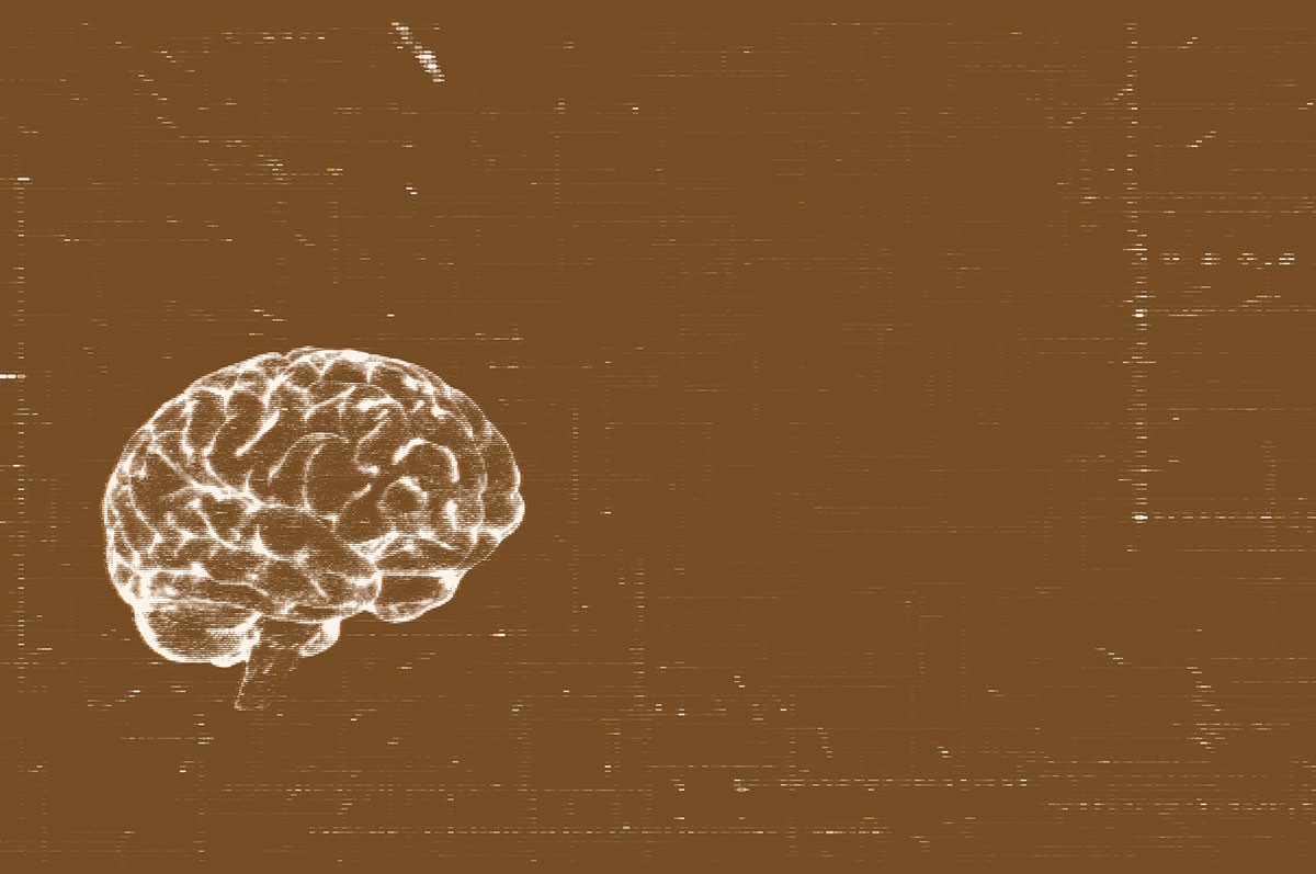 illustration of a brain on a brown background